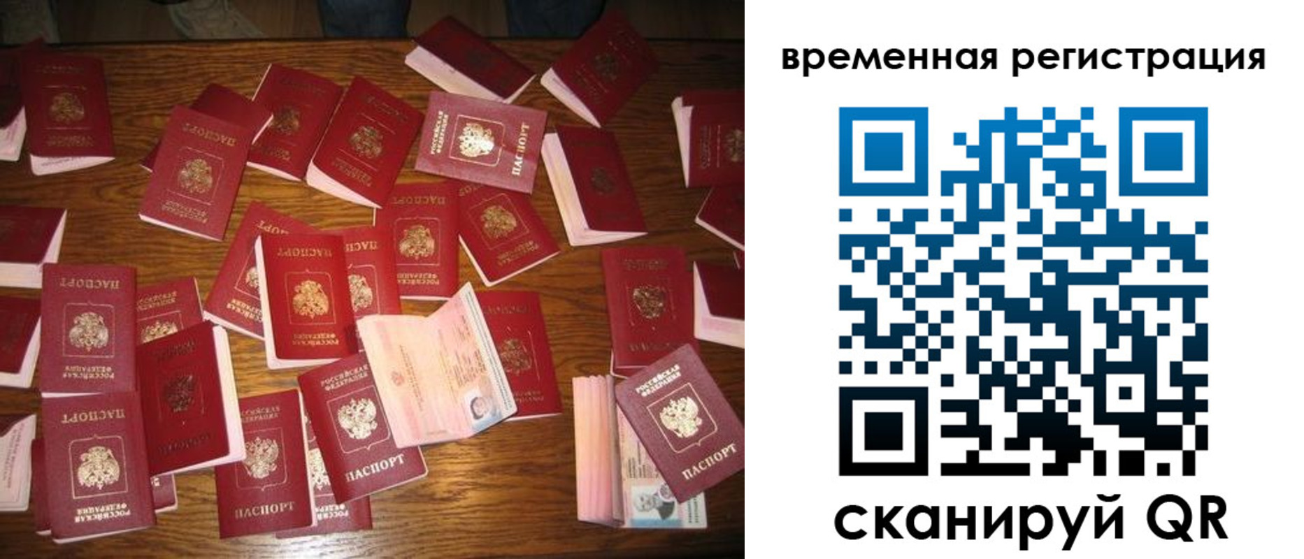 купить прописку в Владимирской области
